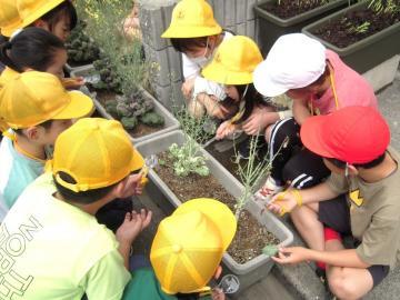 写真：理科の授業4月26日2