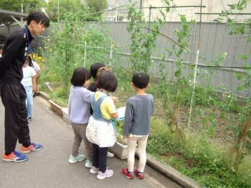 写真：一年生の取り組み5