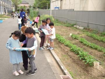 写真：一年生の取り組み4