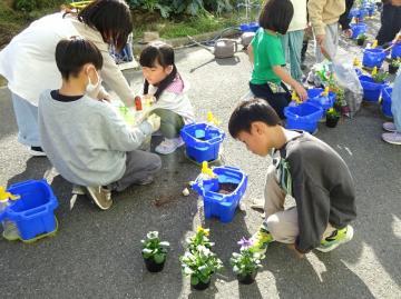 写真：「人権の花」運動2