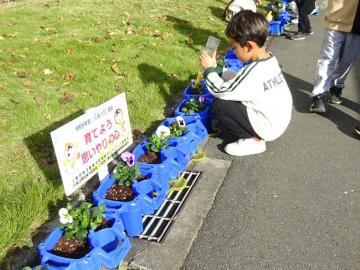 写真：「人権の花」運動4
