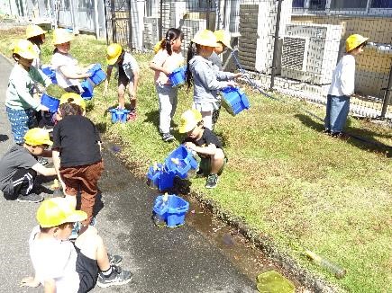 「人権の花」お片付け05
