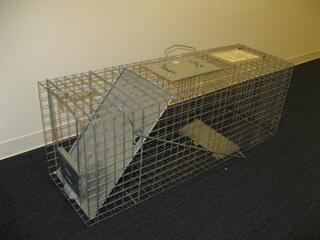 写真：捕獲器