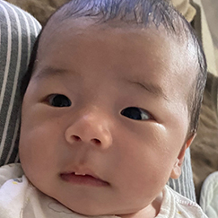 写真:赤ちゃん たいしょう