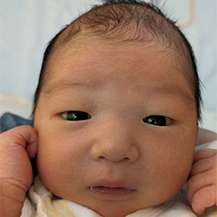 写真:赤ちゃん さくたろう