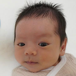 写真：赤ちゃん　いくま