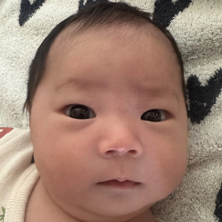 写真:赤ちゃん せりは