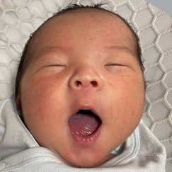 写真:赤ちゃん いとせ
