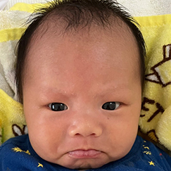 写真:赤ちゃん しんのすけ