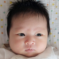 写真：赤ちゃん　ひすい