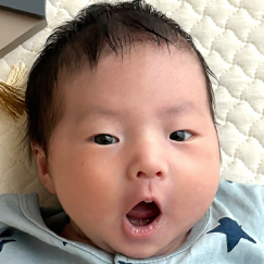 写真:赤ちゃん ひなた