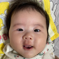 写真:赤ちゃん ひより