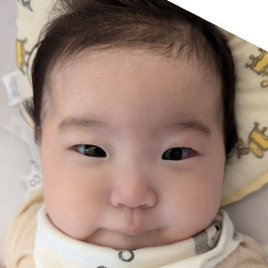 写真:赤ちゃん あんず