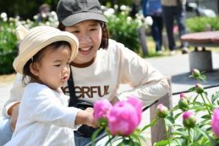 写真：シャクヤクを見る親子