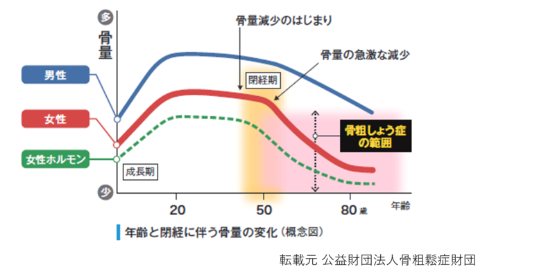 イラスト：年齢と閉経に伴う骨量の変化(概念図)