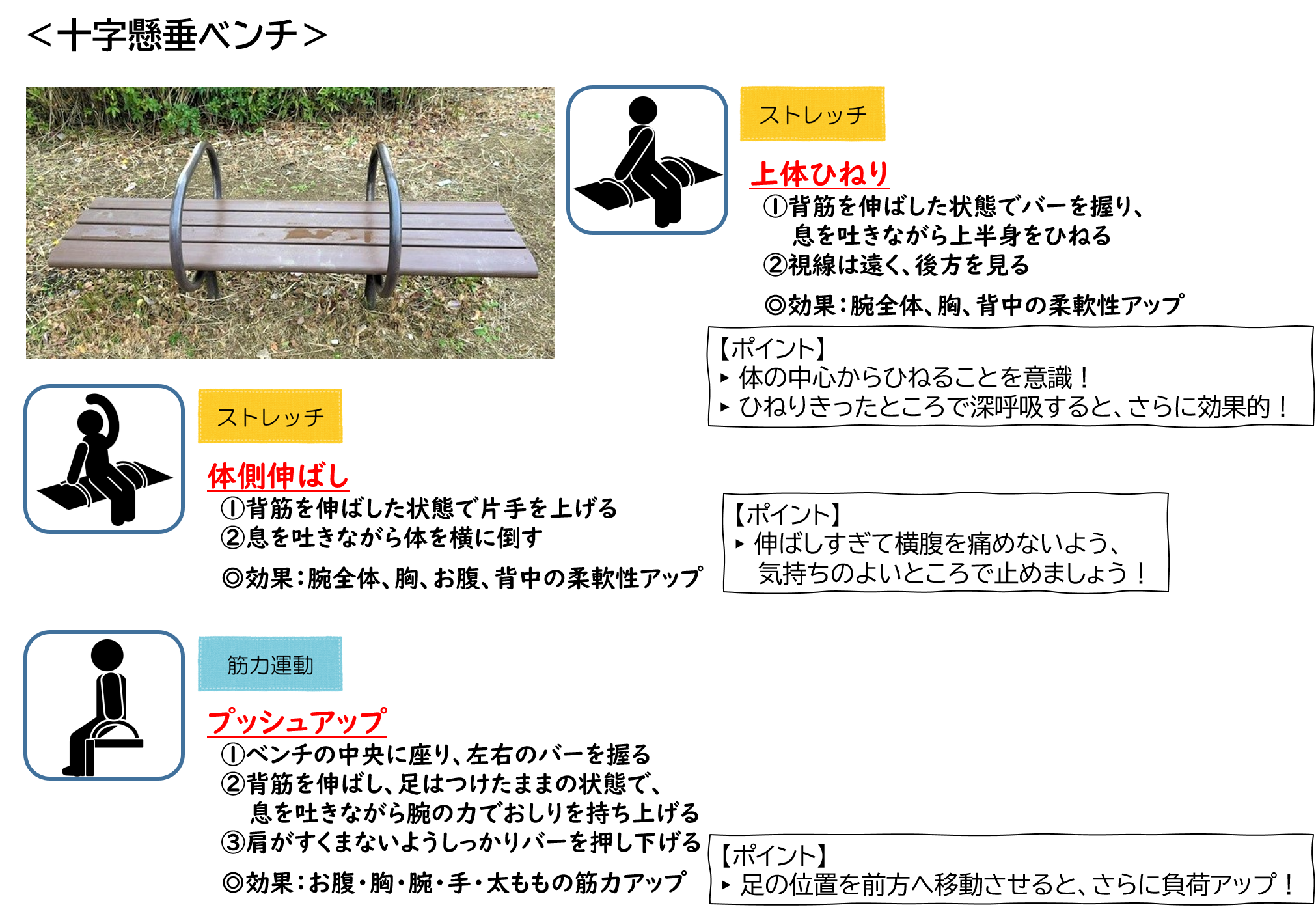 十字懸垂ベンチ