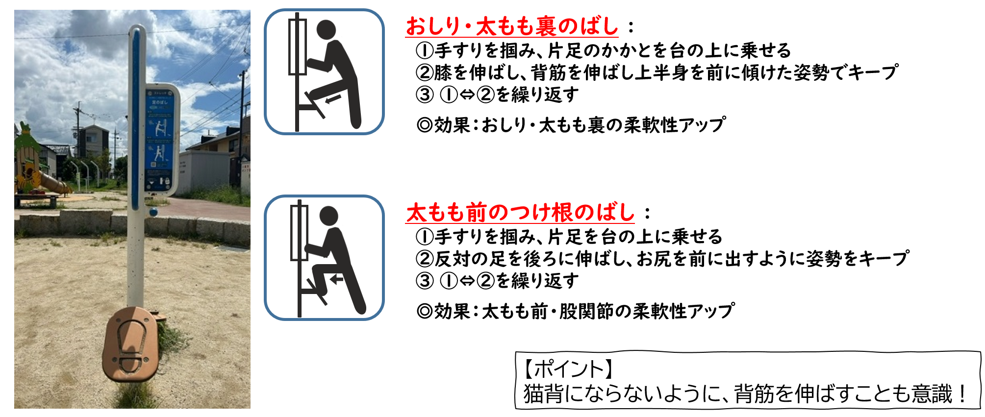 曙川公園の足のばし2