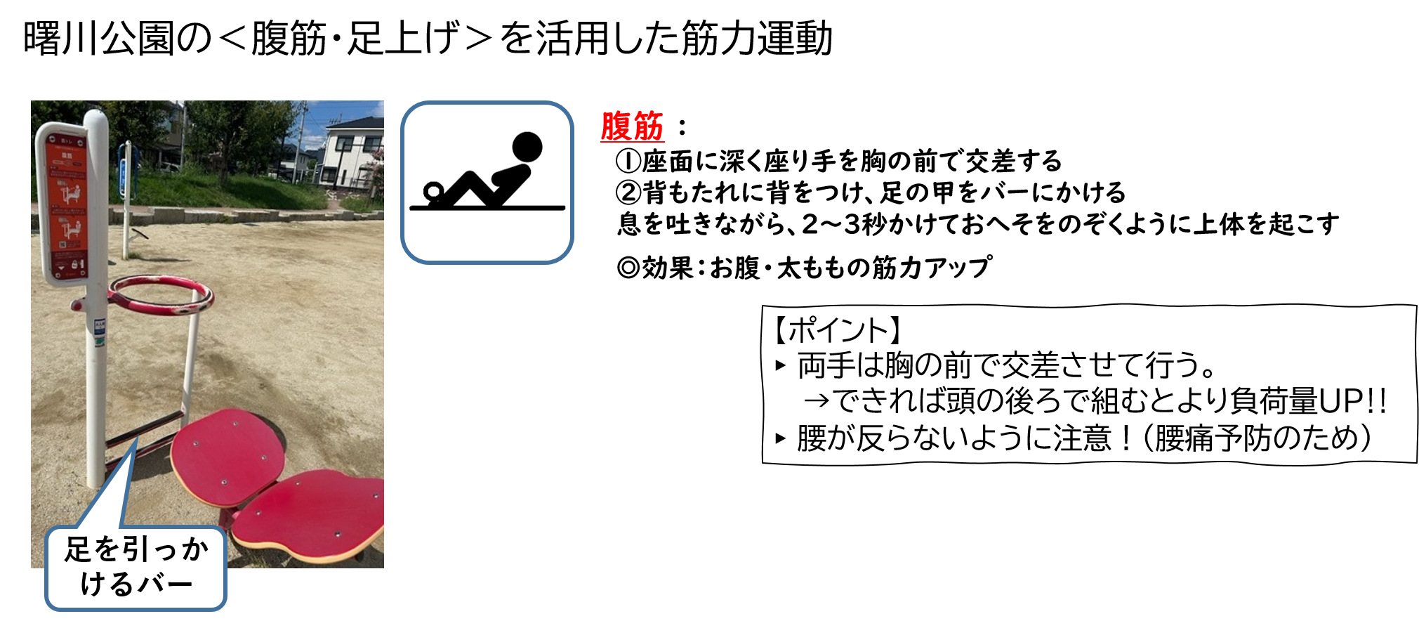 曙川公園の腹筋・足上げを活用した筋力運動