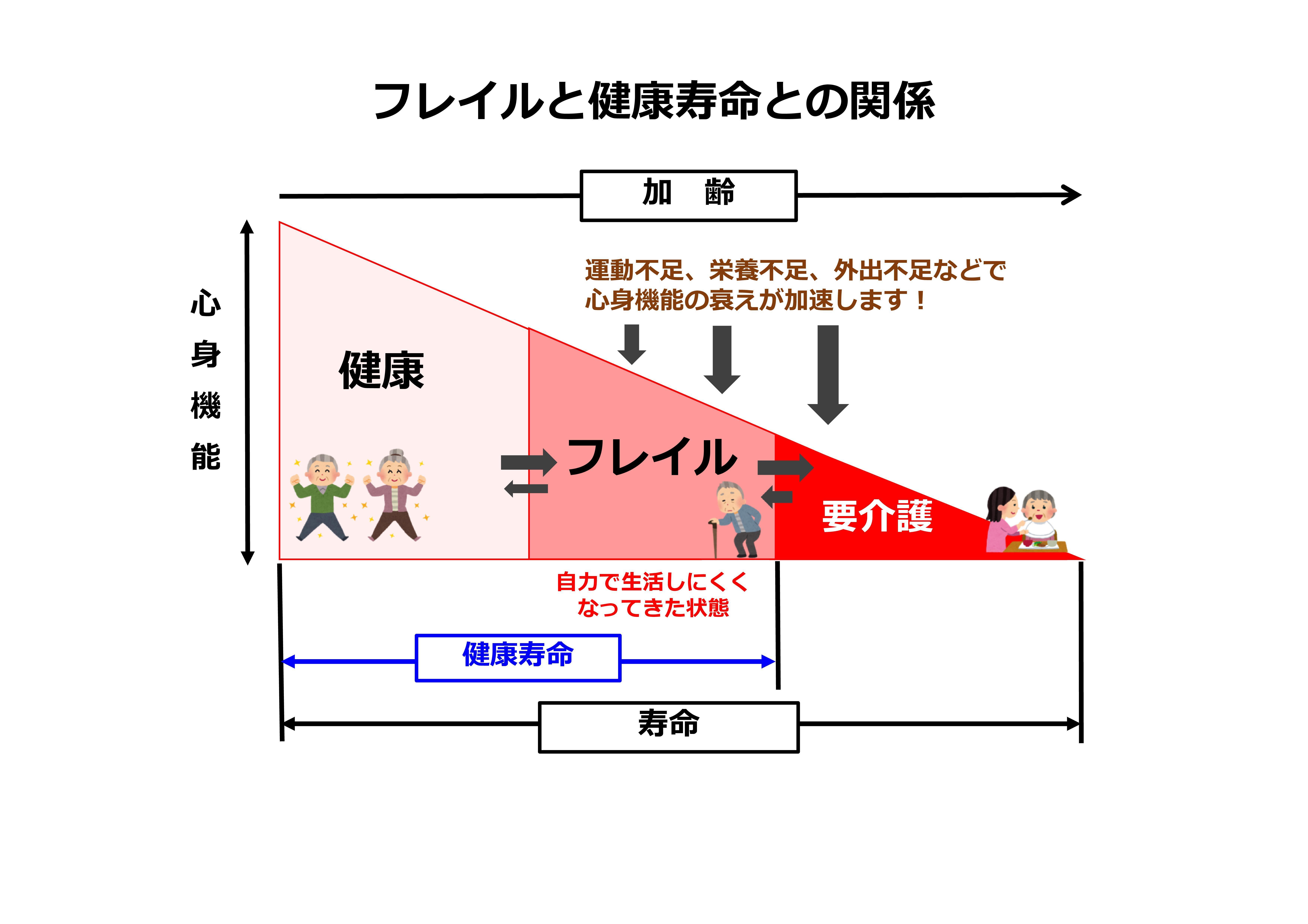 イラスト：フレイルと健康寿命との関係