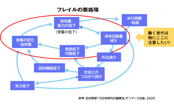 イラスト：フレイルの悪循環