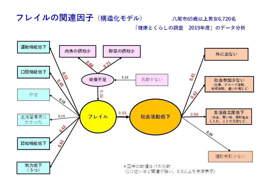 写真：フレイルの関連因子