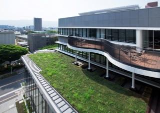 写真:屋上1