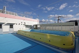 写真:屋上プール