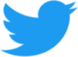 イラスト：ツイッターアイコン