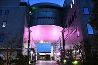 写真：「ピンクシャツDAY in 八尾 2024」ライトアップ4