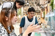 写真：ECO×EXPO FUSION FESTA2