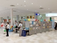 写真：世界人権宣言パネル展1