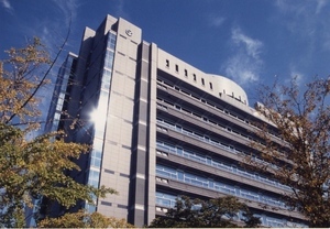 写真：市長におまかせ