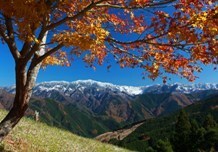 写真：五條市の風景