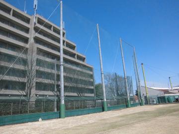 写真：山本球場防球ネット改修2