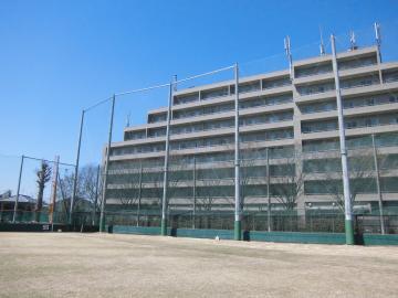 写真：山本球場防球ネット改修1