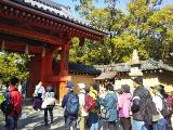 写真：歩こう会194-2