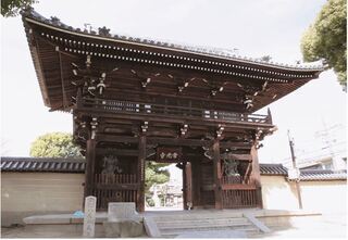 写真:本文の見本1