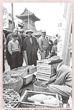 写真:掲載内容 その2