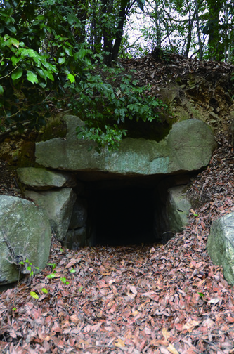 写真:高安千塚古墳群