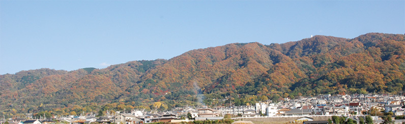 写真：秋の高安山