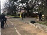 写真：美園公園