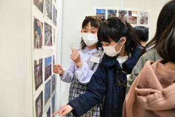 写真：みんながとってきた写真と80アクションとのつながりを見つける2