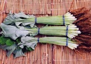 写真：八尾の特産物2
