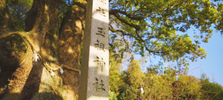 写真:玉祖神社(たまのおやじんじゃ)
