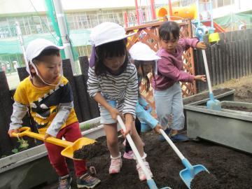 写真：4歳児　土を耕す