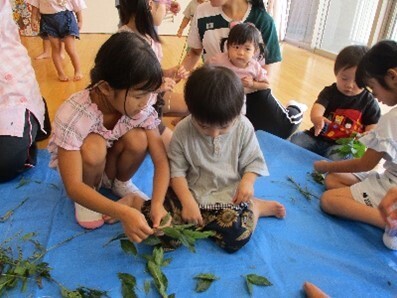 写真：5歳児　藍の葉っぱちぎり
