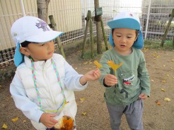 写真：3歳児　葉っぱを持つ