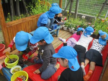 写真：令和6年度　わくわくたのしいこども園59