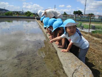 写真：令和6年度　わくわくたのしいこども園22
