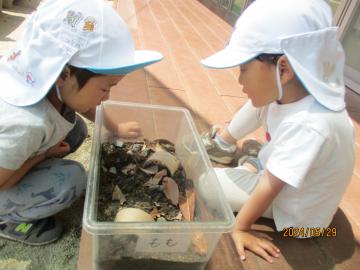 写真：令和6年度　わくわくたのしいこども園32